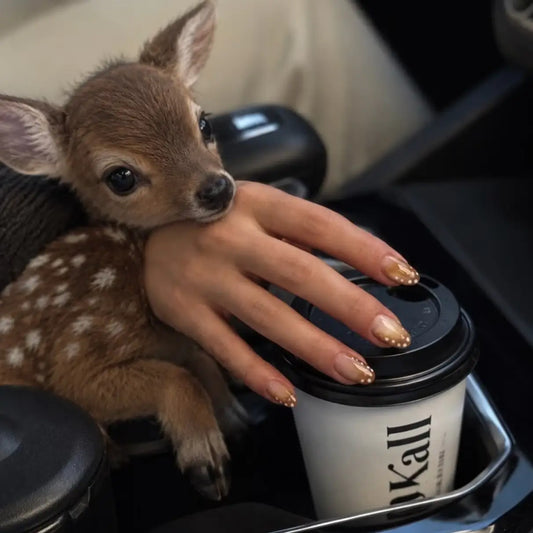 Bambi Glaze Press-On Nails