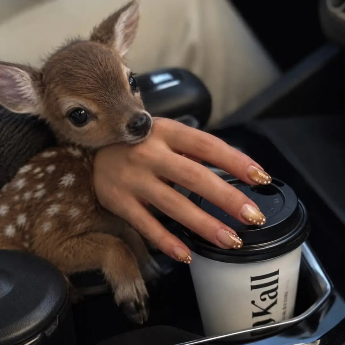 Bambi Glaze Press-On Nails